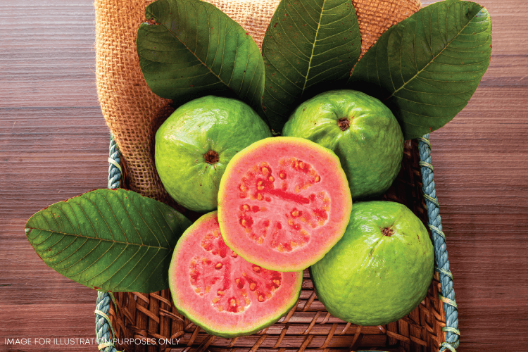 Pink Guava Crush Recipes – Mapro