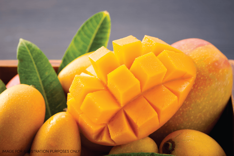 Alphonso Mango Crush Recipes